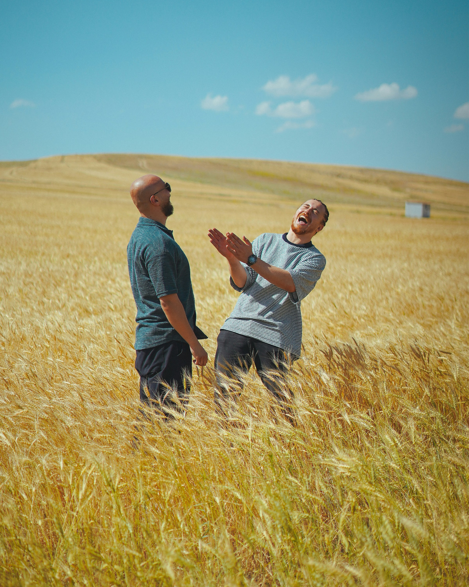 Two farmers laughing together in a golden wheat field